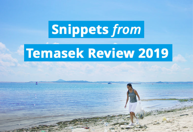 Snippets from Temasek Review 2019